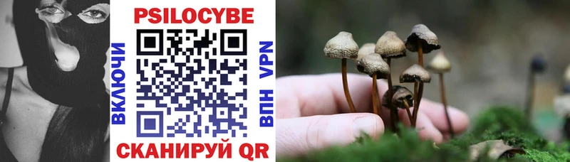 Галлюциногенные грибы Psilocybe  Льгов 